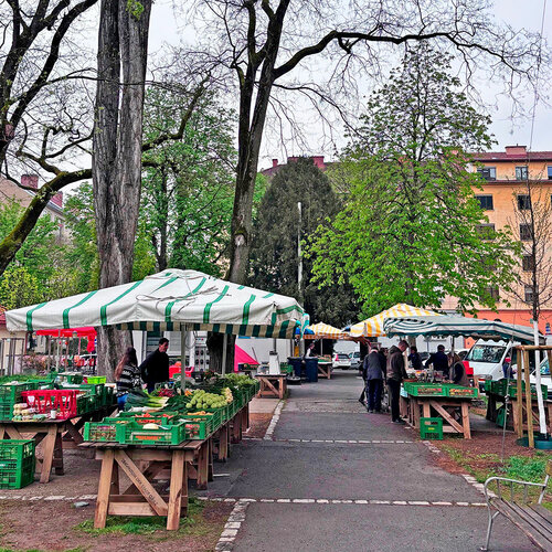 Hasnerplatz