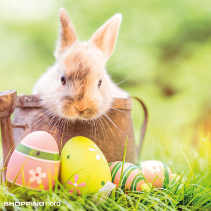 Der Osterhase im Shopping Nord