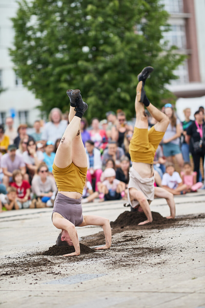 Zeitgensössische Zirkus Show