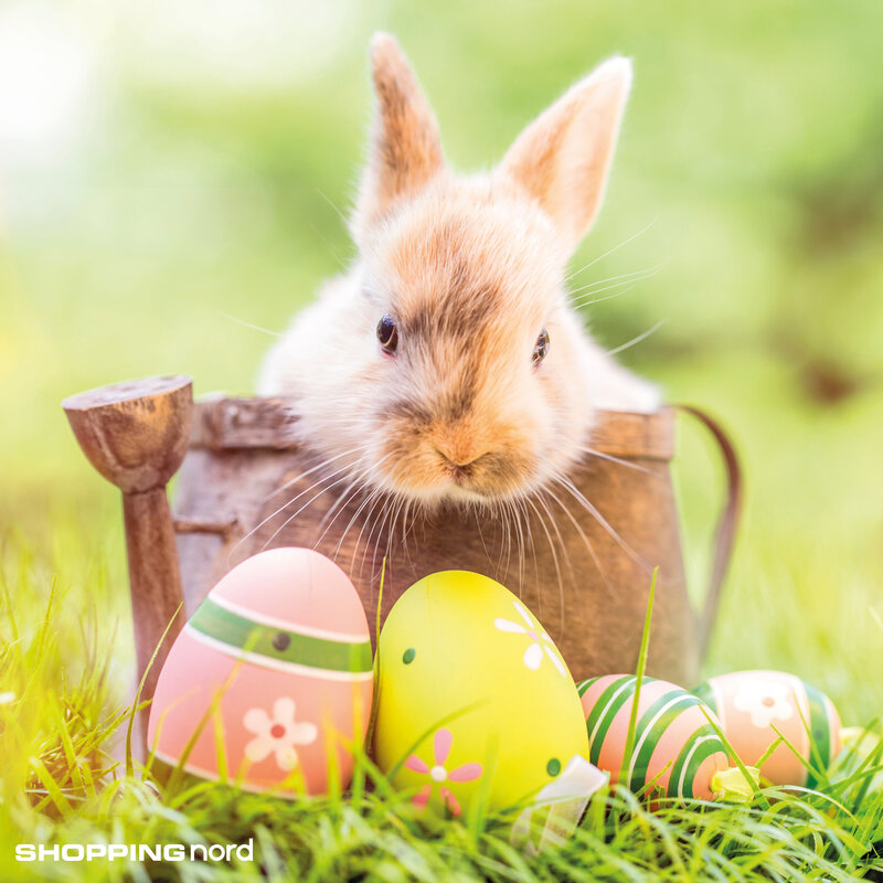 Kinder-Oster-Programm im Shopping Nord